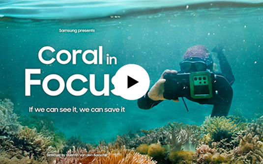 Coral in Focus 유튜브